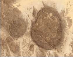 The circular domes of the Air mountains were founded when magma flowed into the cracks and caverns in the bedrock. It led to the fabrication of bubble